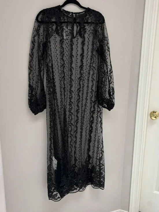 Zara Black Embroidered Lace Sheer Midi Dress Long Sleeve NWT M - Picture 2 of 6